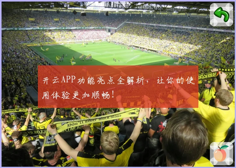 开云APP功能亮点全解析，让你的使用体验更加顺畅！