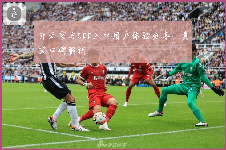 开云官方app入口用户体验分享，真实口碑解析