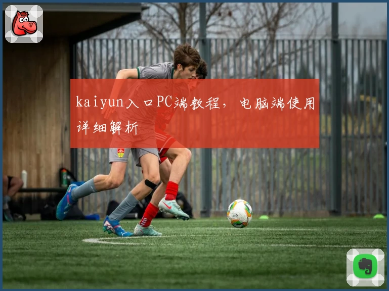 kaiyun入口PC端教程，电脑端使用详细解析
